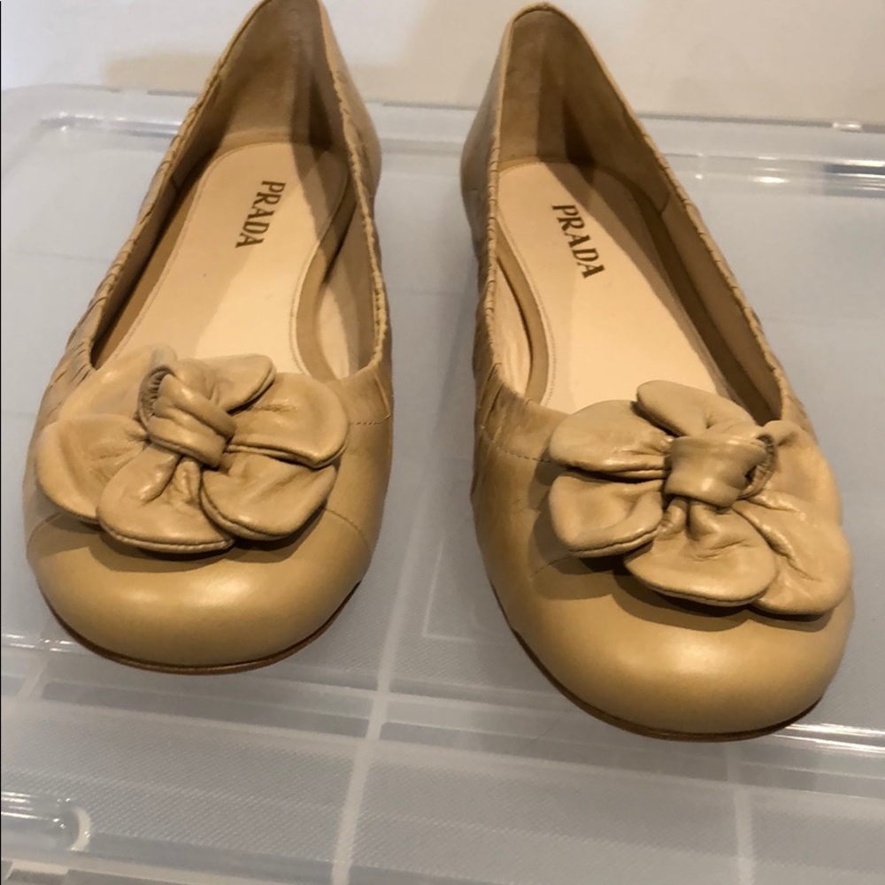 Shoe